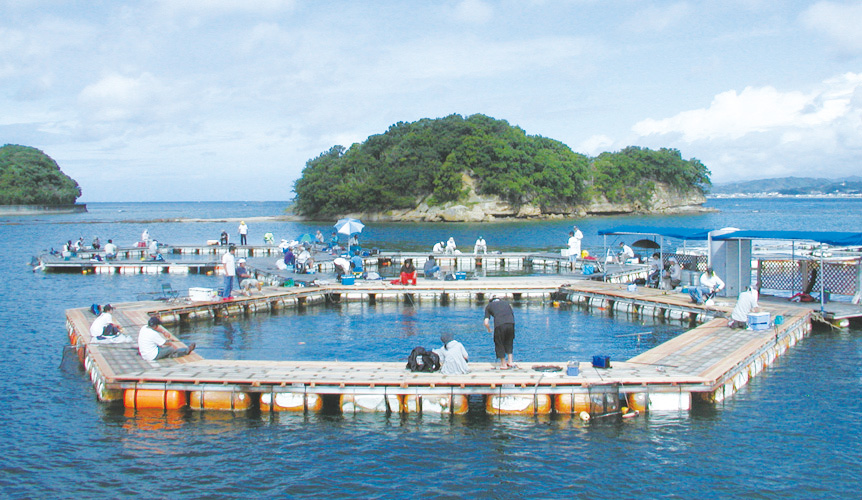 初心者必見 手ぶらで海上釣り堀デビューしよう １日の流れから釣り方までイラスト入りで徹底解説 ニュース つりそく 釣場速報