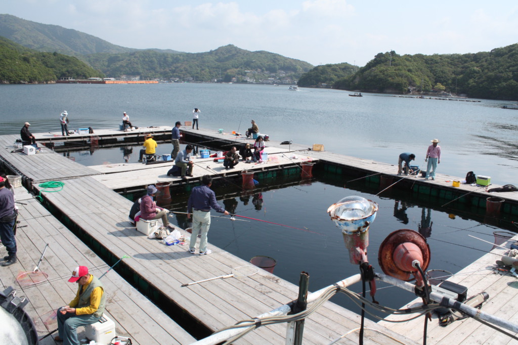 は さま 浦 釣り堀 センター