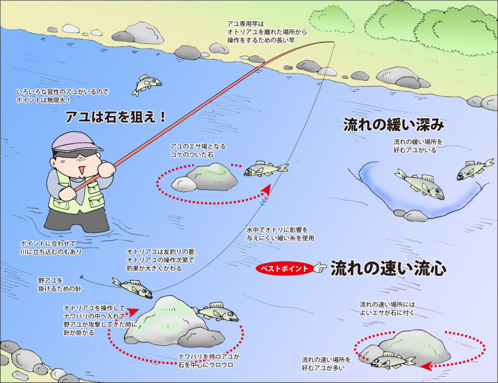 アユ友釣り入門講座 実釣編パート1 ポイントの選び方 仕掛けのセット方法 オトリの付け方 送り出し方 川の歩き方 ニュース つりそく 釣場速報