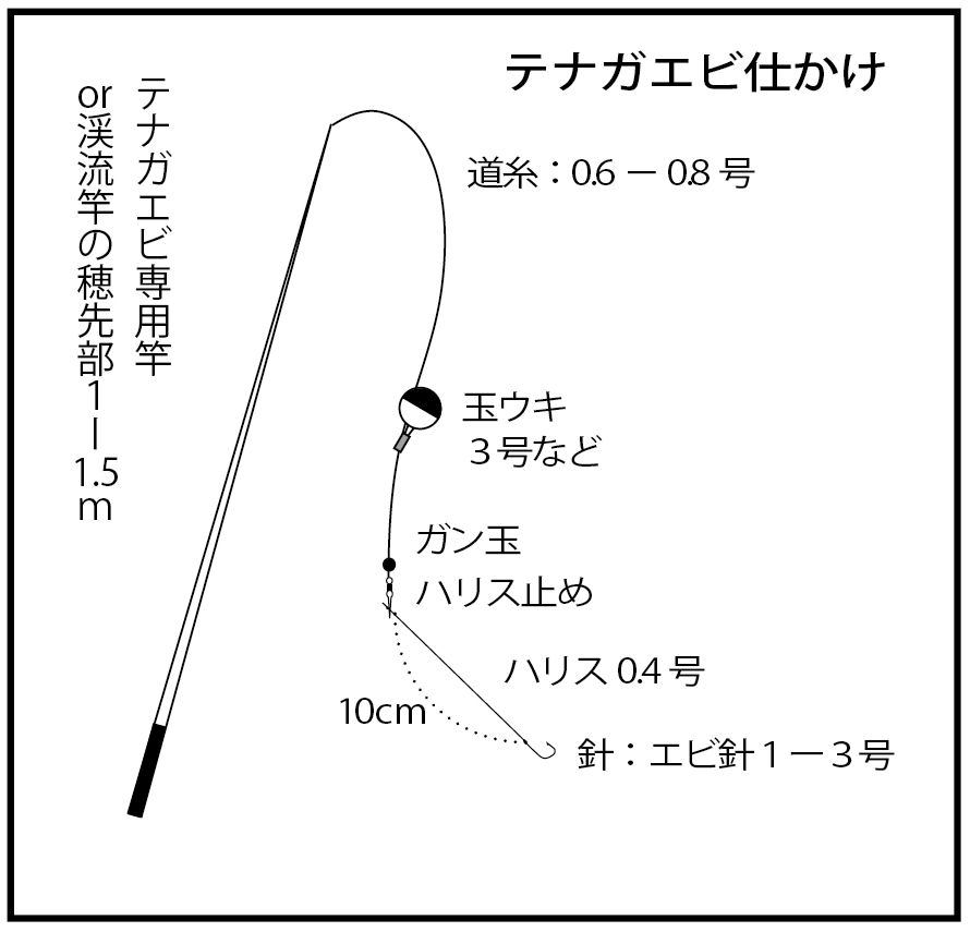 簡単 テナガエビ釣り入門 タックル 仕掛け 釣り方 食べ方まで全網羅 ニュース つりそく 釣場速報