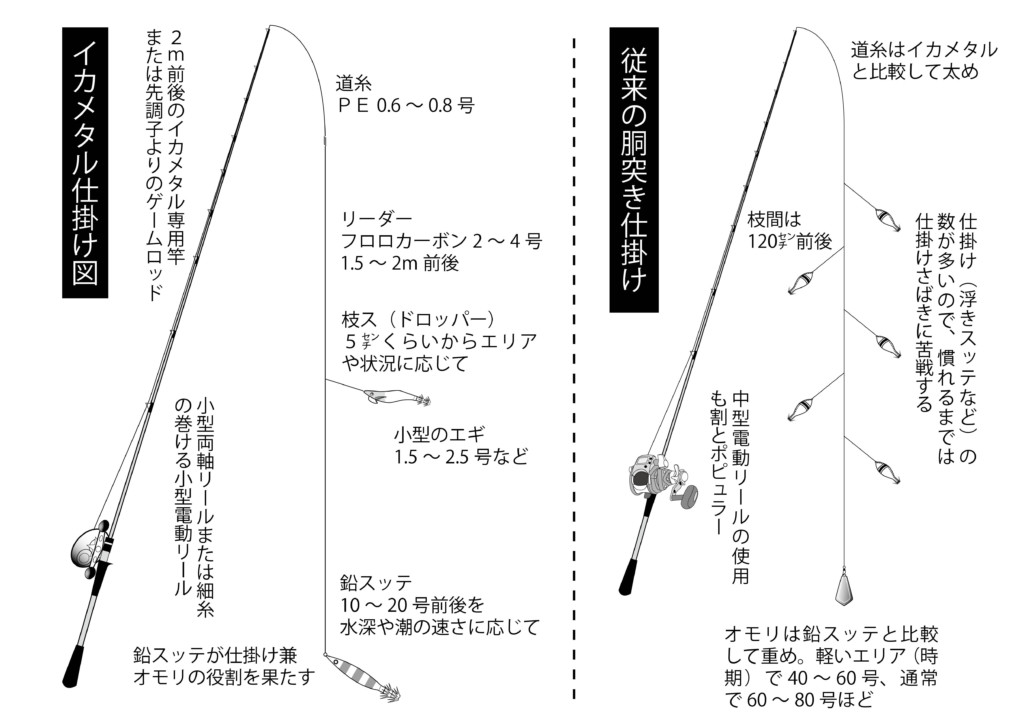 美味 和歌山 南紀でケンサキイカ 政昇丸 ニュース つりそく 釣場速報