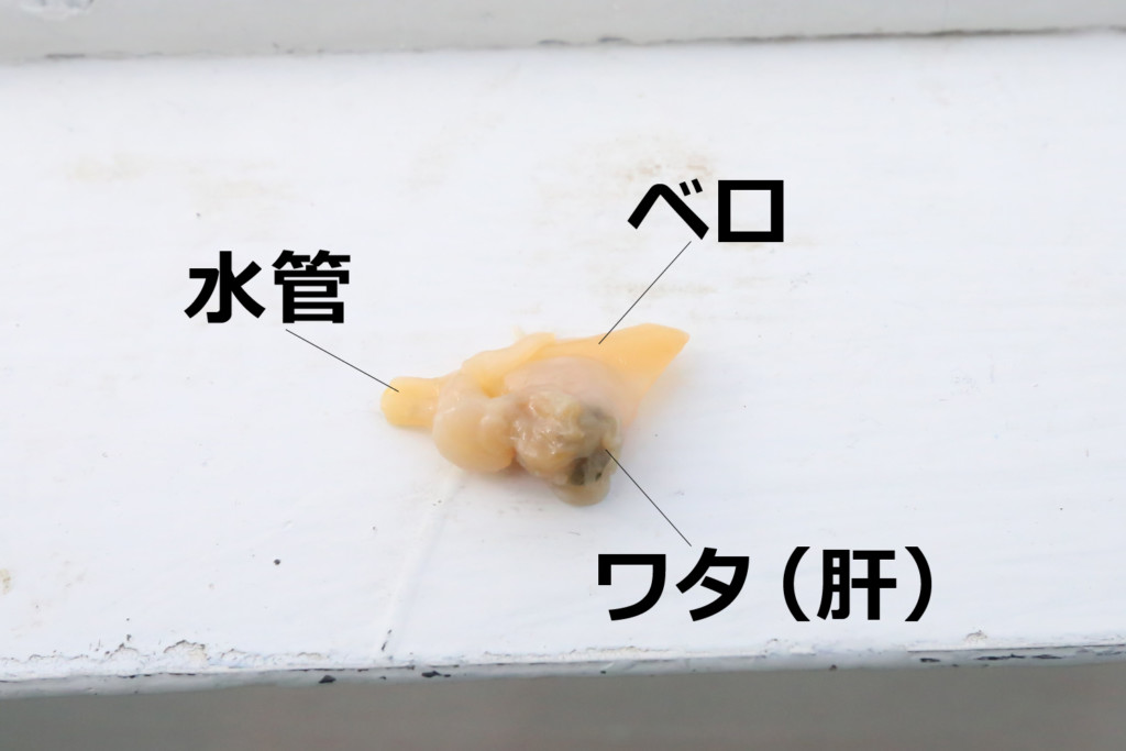 船カワハギの基本的な釣り方 徳島 阿南中林漁港 水天丸 ニュース つりそく 釣場速報