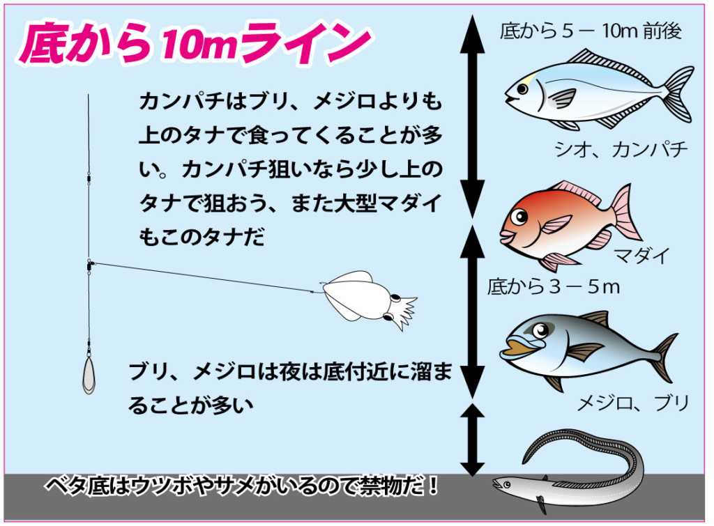 アカイカノマセ 和歌山 串本沖 激アツ アカイカ釣って更なる大物をゲット ニュース つりそく 釣場速報