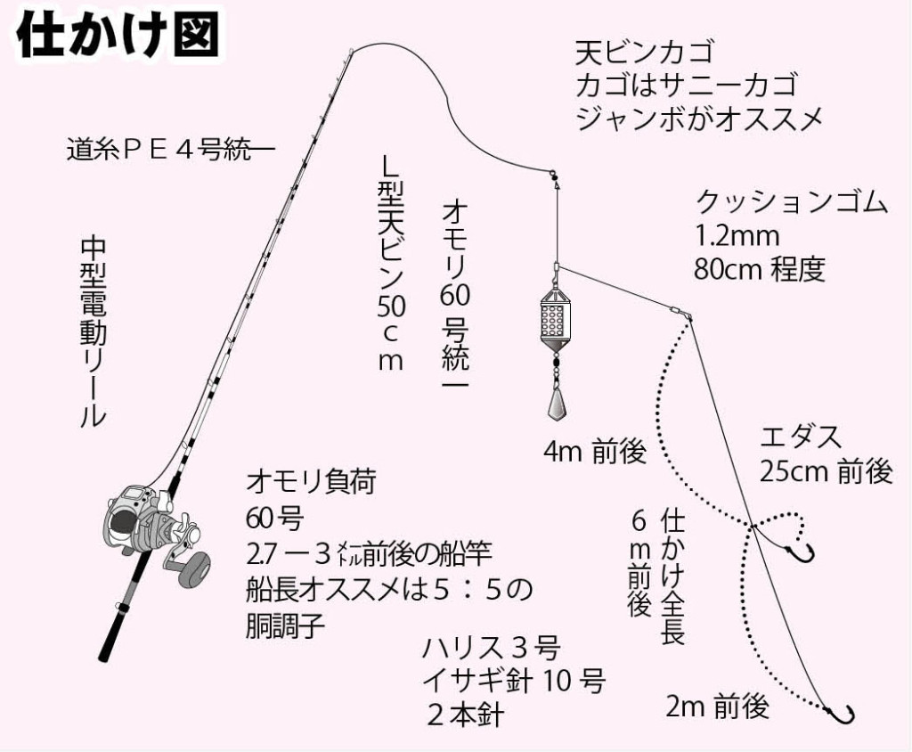 40cm超が超有望 ジャンボイサギ開幕 和歌山県見老津 天昇丸 ニュース つりそく 釣場速報