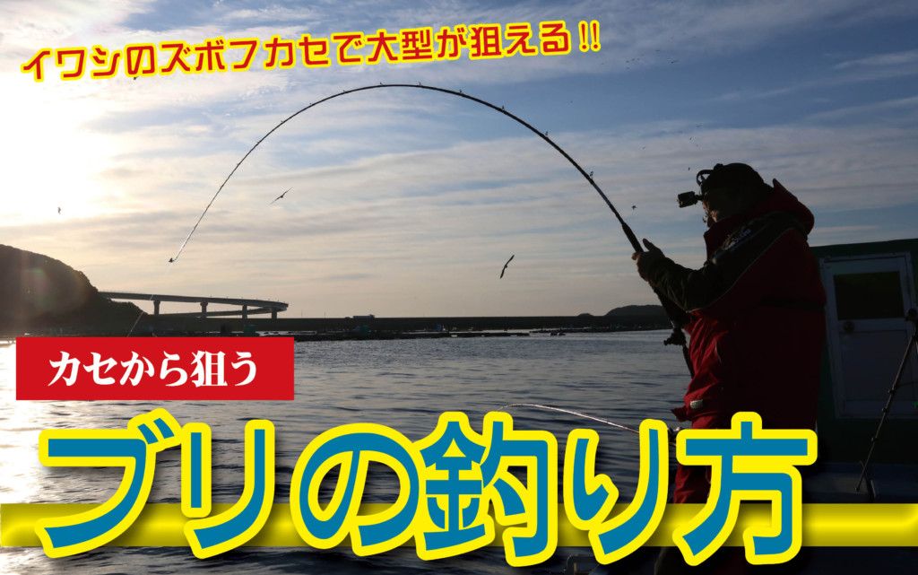 ブリの釣り方 5つのポイントを押さえて大型ゲット ニュース つりそく 釣場速報