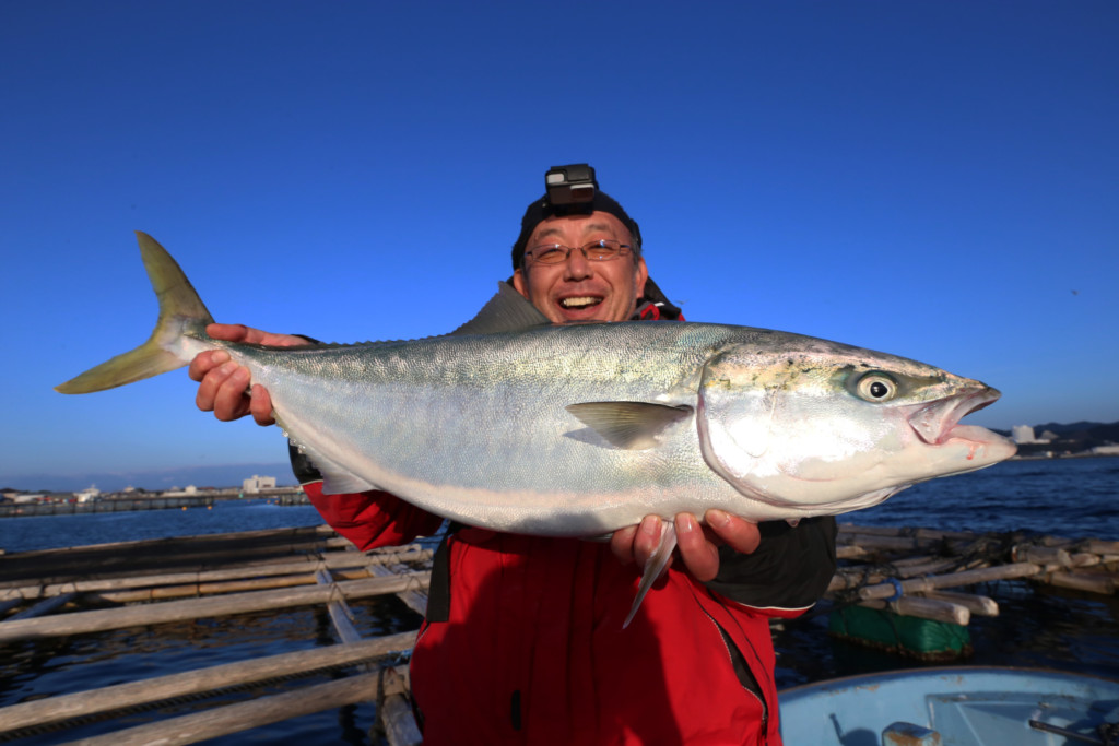 ブリの釣り方 5つのポイントを押さえて大型ゲット ニュース つりそく 釣場速報