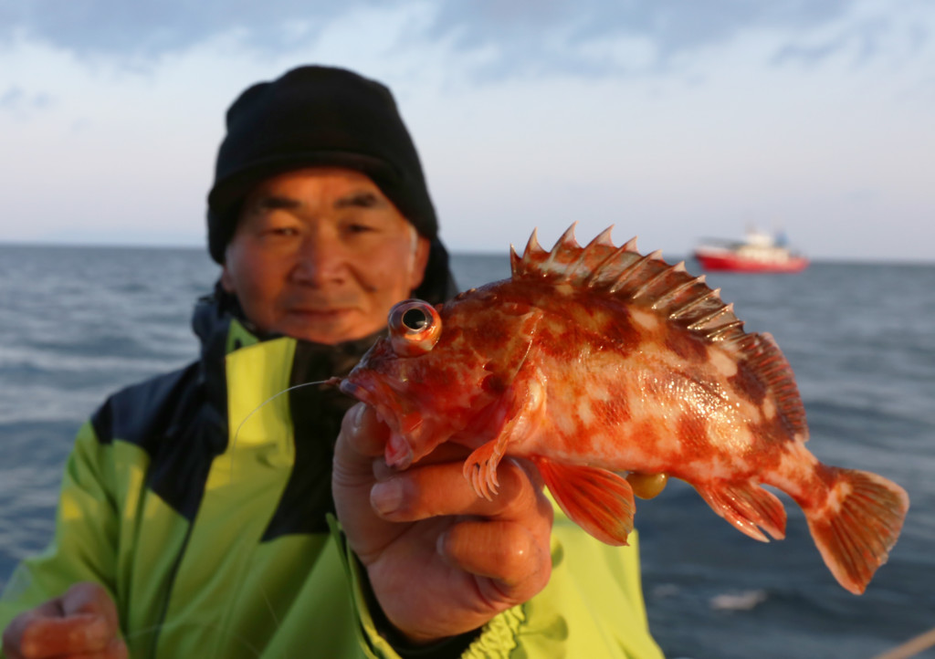 超簡単に楽しめる ガシラ五目の釣り方 ニュース つりそく 釣場速報