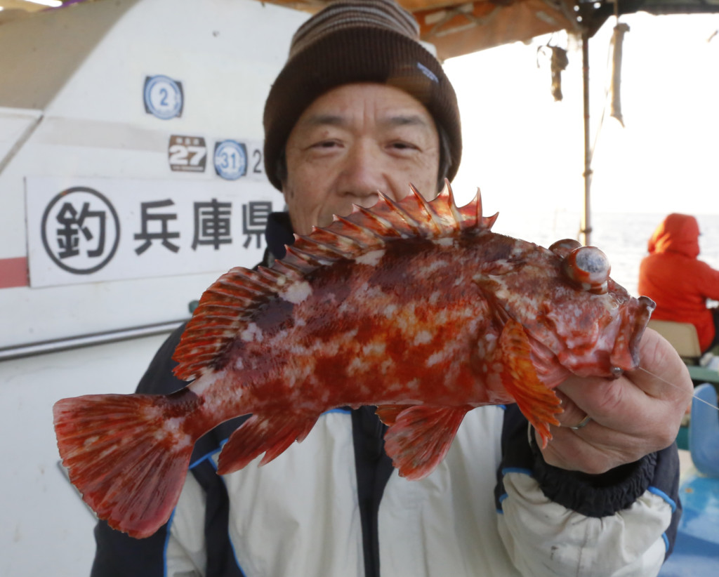 激しいアタリがクセになる ガシラ良型まじって爆バク 兵庫 明石浦 名田屋乗合船 ニュース つりそく 釣場速報