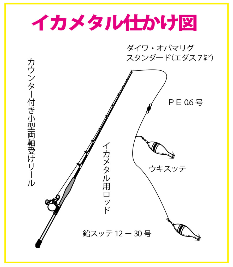 冷凍しても痛みにくく て いつでも美味しい ケンサキイカがとにかくめちゃ釣れ ニュース つりそく 釣場速報