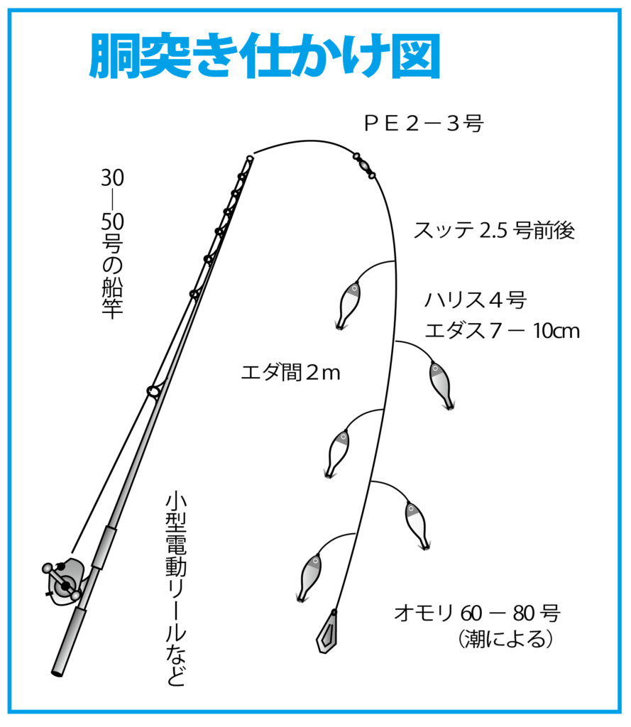 冷凍しても痛みにくく て いつでも美味しい ケンサキイカがとにかくめちゃ釣れ ニュース つりそく 釣場速報