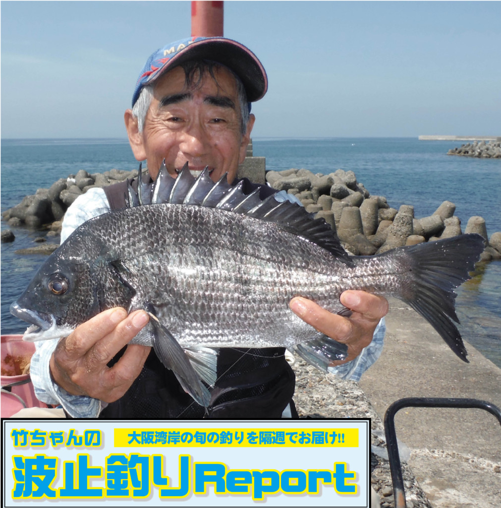 竹ちゃんの波止釣りreport 紀州釣りでグレ チヌが狙える好場 深日港を攻略 ニュース つりそく 釣場速報