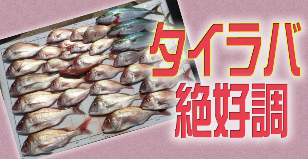 最新釣果速報 憧れの魚 マダイ が初心者でも釣れちゃう 魅惑のタイラバが激アツ ニュース つりそく 釣場速報