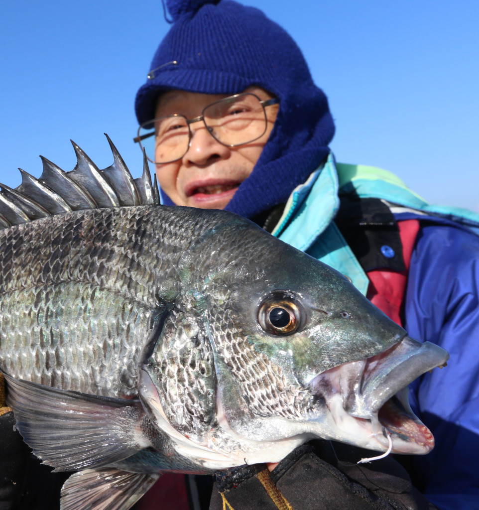 大型チヌが高確率 ゆったりと楽しめる 飼い付けチヌ釣り が堪らない 和歌山 美浜沖 山見丸 ニュース つりそく 釣場速報 大型チヌが高確率 ゆったりと楽しめる 飼い付けチヌ釣り が堪らない 和歌山 美浜沖 山見丸 ニュース つりそく 釣場速報