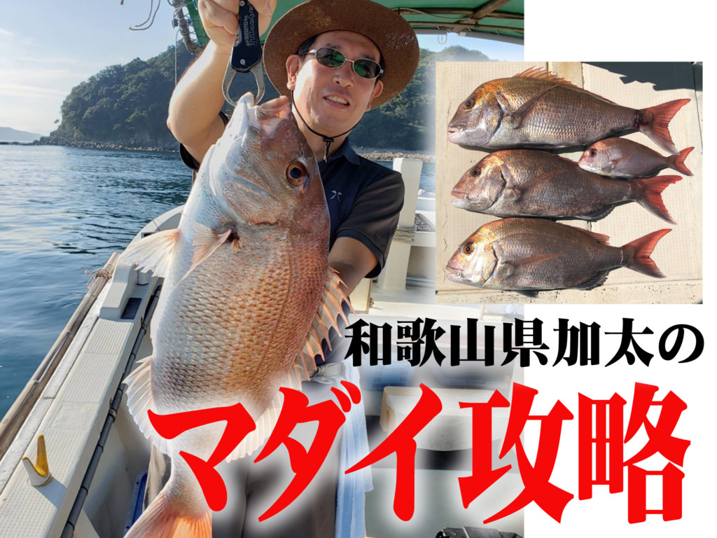 タイが高確率で狙える 73cmの大ダイ登場 秋の釣り物はタイで決まり 魅惑の釣りをレポート ニュース つりそく 釣場速報
