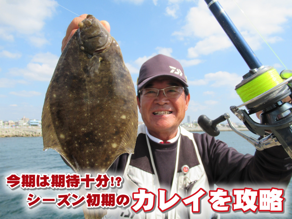 シーズン初期のカレイを攻略 手軽な堤防の投げ釣りで満足の1尾をゲット ニュース つりそく 釣場速報