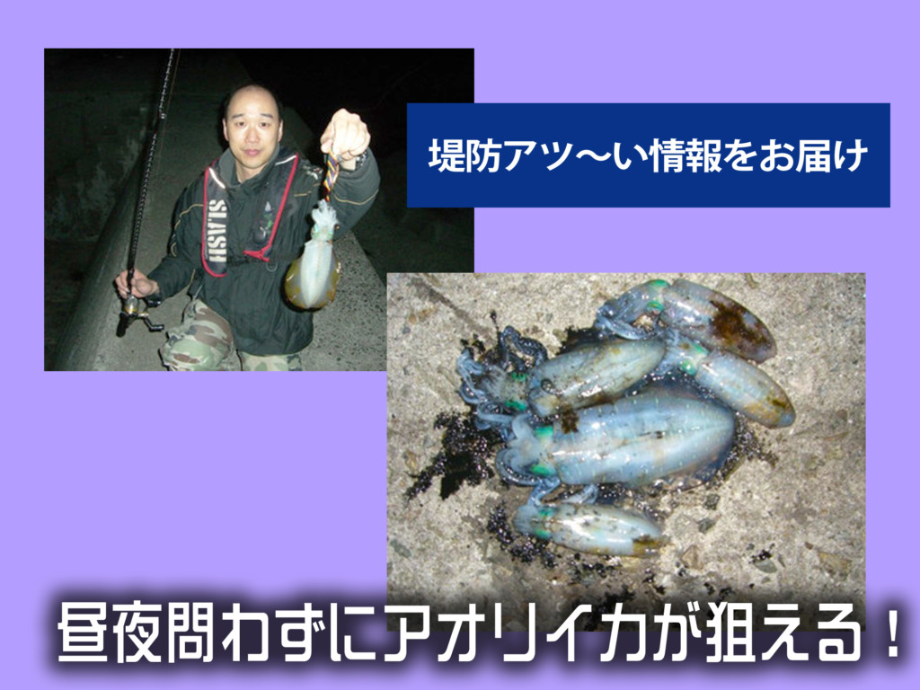 堤防でイカが釣れているぞ 昼も夜も関係なく狙えるアオリイカ釣りが狙い目 ニュース つりそく 釣場速報