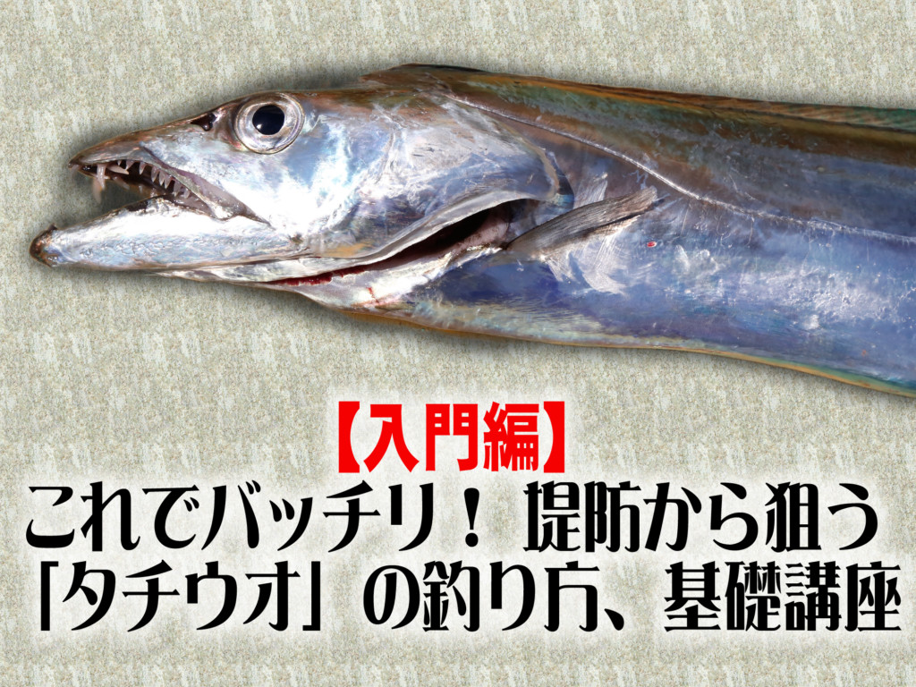 入門編 これでバッチリ 堤防から狙う タチウオ の釣り方 基礎講座 ニュース つりそく 釣場速報