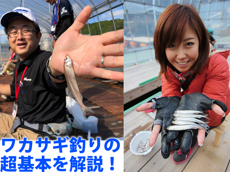 初心者必見 ワカサギ釣りのキホンはコレ ニュース つりそく 釣場速報