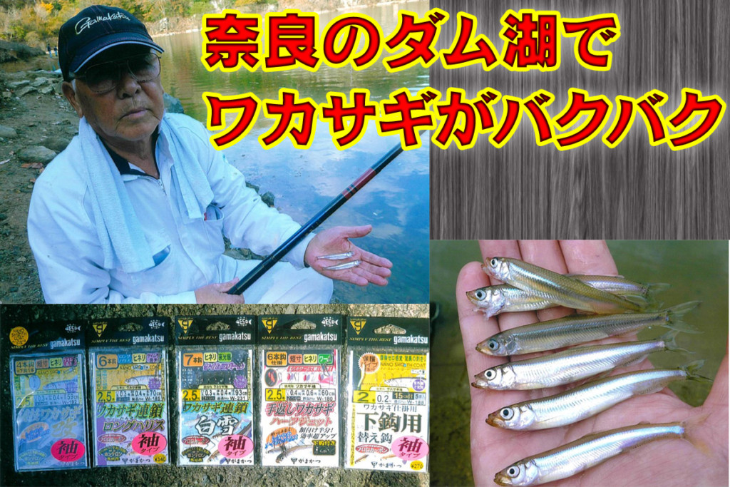 関西のワカサギが今年は活性高く初心者でも楽しめそう ニュース つりそく 釣場速報
