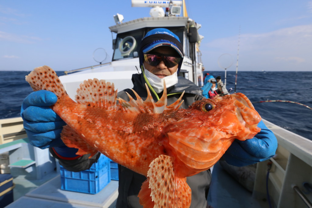 基礎講座 釣って楽しい 食べて美味しい オニカサゴ イズカサゴ の釣り方 ニュース つりそく 釣場速報