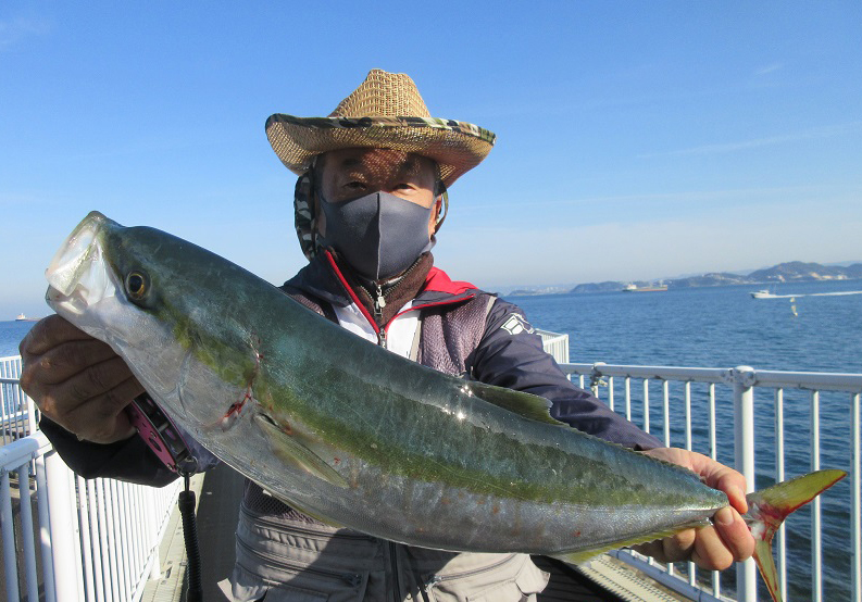関西の堤防釣り最新釣果 青物が回遊中 ルアーでもエサでも狙えるぞ ニュース つりそく 釣場速報