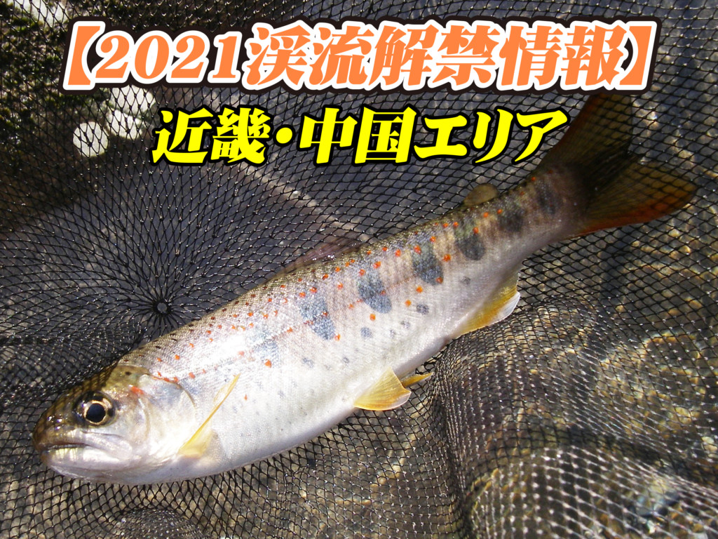 各地にアマゴやヤマメの春到来 渓流解禁情報21 近畿 中国エリア ニュース つりそく 釣場速報 各地にアマゴやヤマメの春到来 渓流解禁情報21 近畿 中国エリア ニュース つりそく 釣場速報