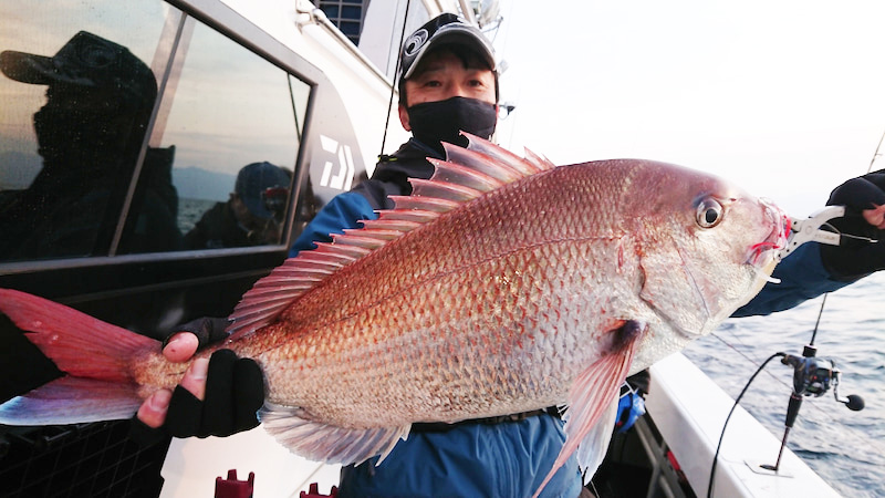春のxデー到来 タイラバで型揃いのマダイが続々と上がりだしたぞ In福井 敦賀沖 ニュース つりそく 釣場速報 春のxデー到来 タイラバで型揃いのマダイが続々と上がりだしたぞ In福井 敦賀沖 ニュース つりそく 釣場速報