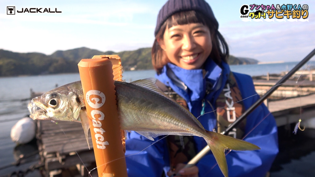 ⑭防波堤/堤防走るのにどうぞ ZOOKオリジナル 改変無 足付良し 軽量
