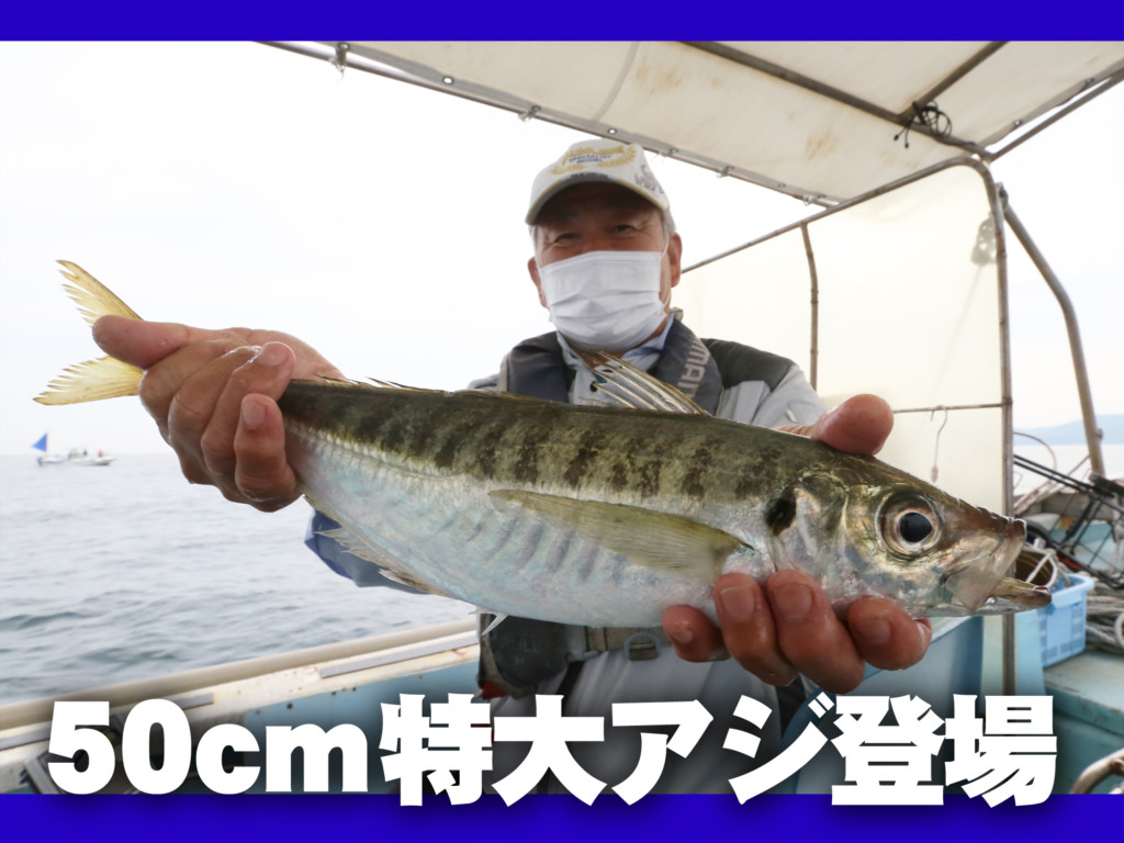 50cm！特大級のアジが登場】今からハイシーズンに到来する「鬼