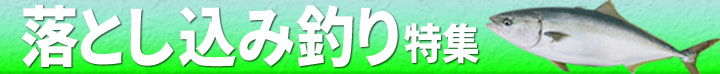 落とし込み釣り特集