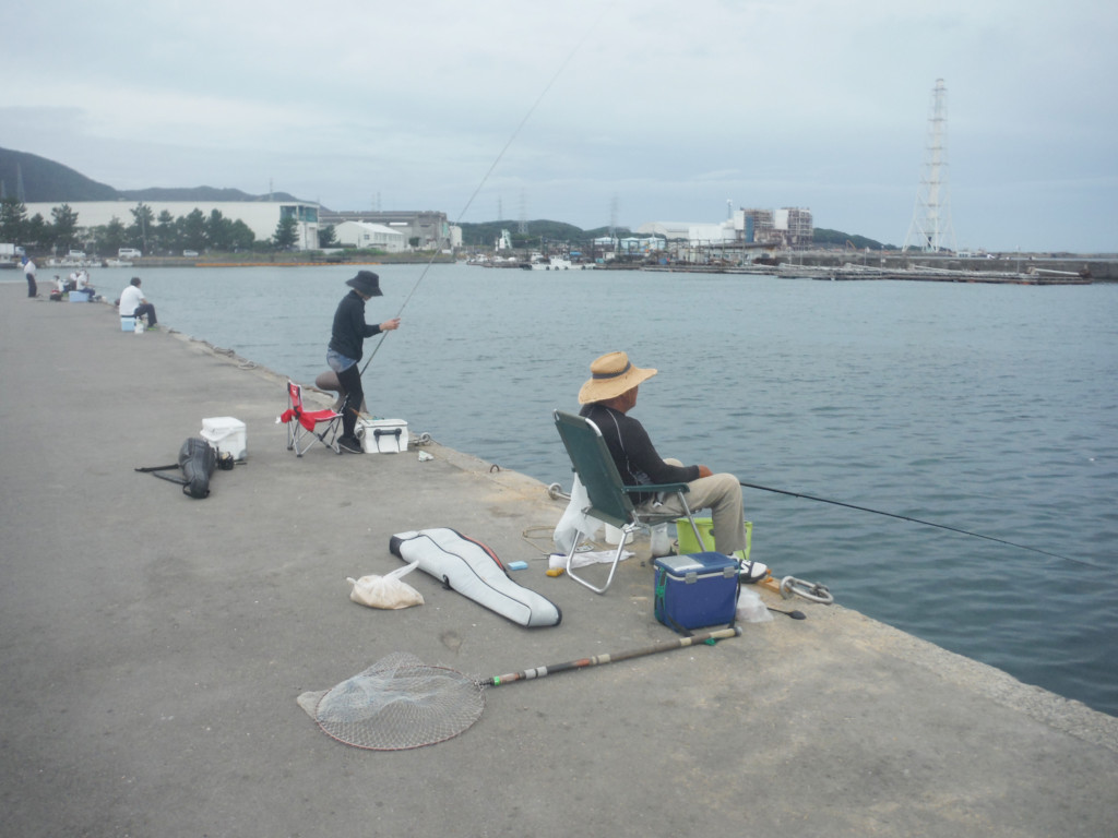 グレ チヌのほか魚種多彩で五目達成 泉南 深日港の紀州釣り ニュース つりそく 釣場速報
