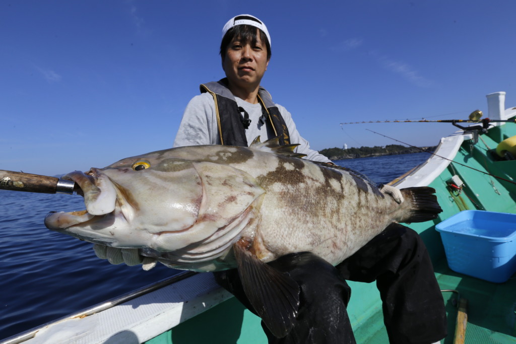 ビギナーでも狙える魚から夢の大物まで！】美味しい”ロックフィッシュ