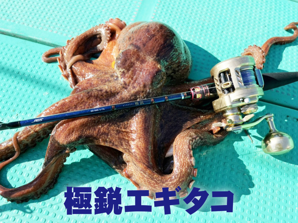 大人気のエギタコ釣りに、ついに「極鋭」が登場!!【感度と誘い