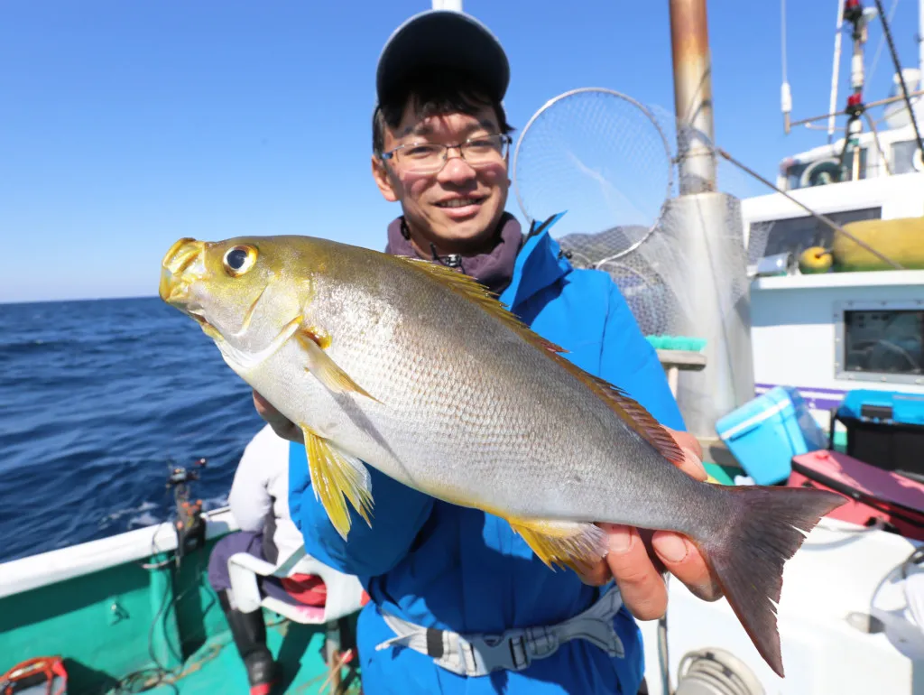 サカナのたまご ウニみたいに濃厚で美味しい イサキ の卵が美味しい ニュース つりそく 釣場速報