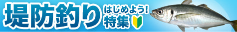 堤防釣りはじめよう！特集