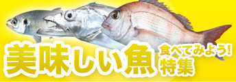 美味しい魚食べてみよう！特集