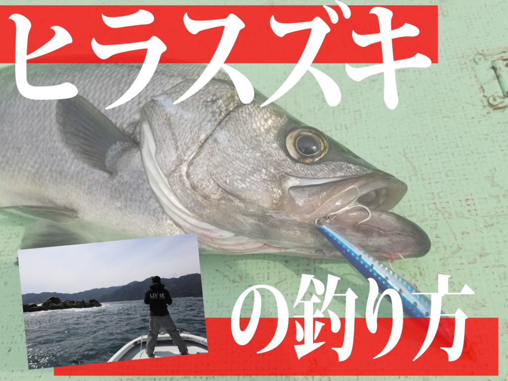 ヒラスズキの釣り方 3分で読める基礎講座 船から狙うオフショア編 ニュース つりそく 釣場速報