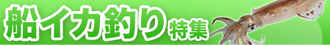 船イカ釣り特集