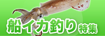 船イカ釣り特集