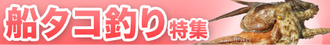船タコ釣り特集