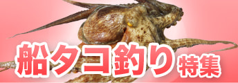 船タコ釣り特集