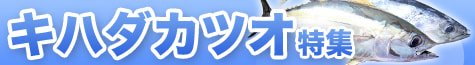 キハダカツオ特集