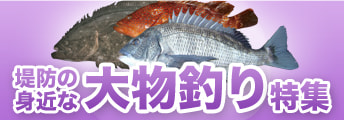 堤防の身近な大物釣り特集