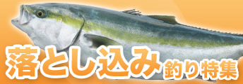 落とし込み釣り特集