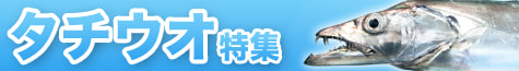 タチウオ特集