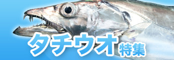 タチウオ特集2022