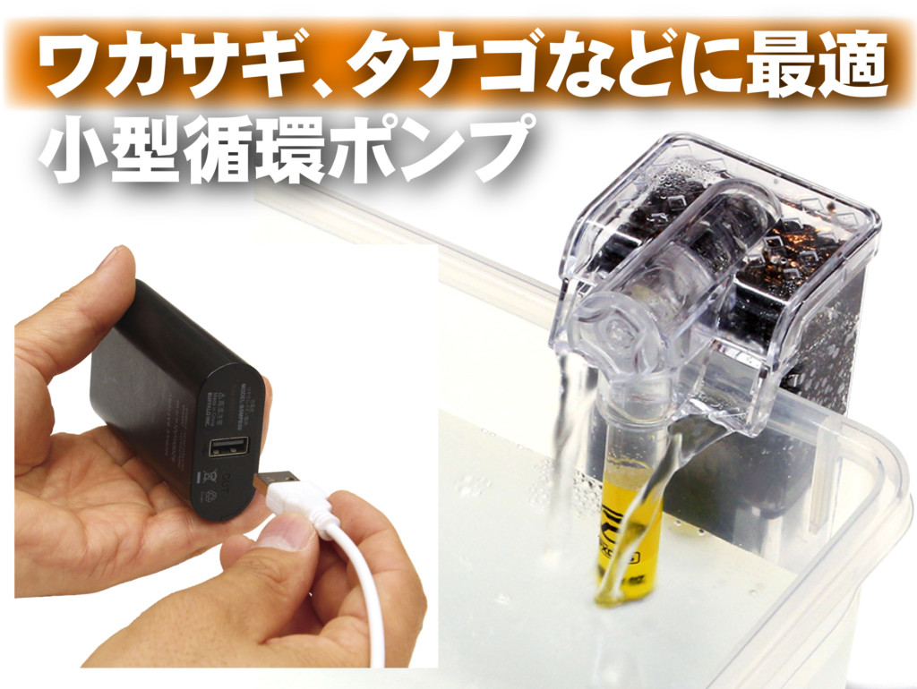 03 循環式 ワカサギ釣り用 ライブウェル Lサイズ USBモバイル