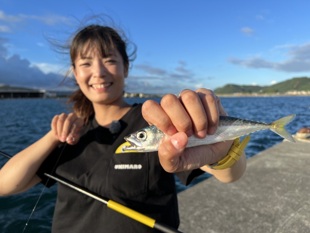 友達や家族と 堤防 で アジ や サバ が楽しく釣れちゃう うきまろ の のべ竿 を紹介