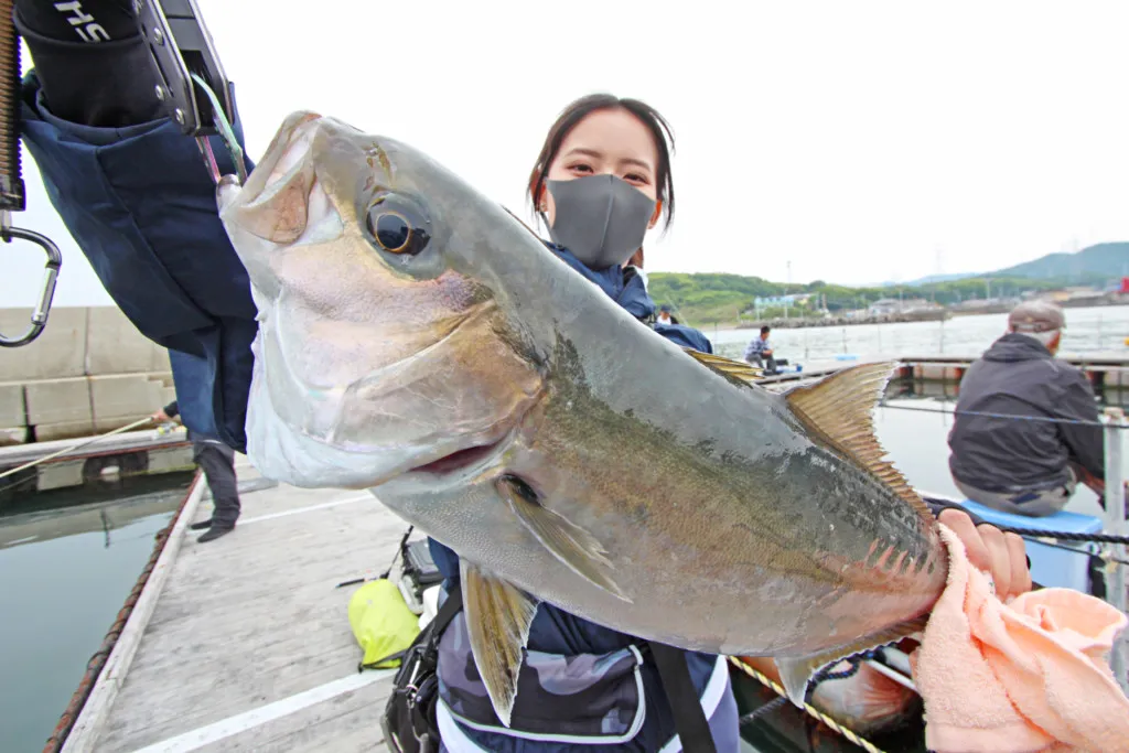 ダイワ 仕掛け 海上釣堀仕掛ST 真鯛セット 10号-ハリス4号(真鯛
