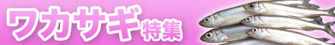 ワカサギ特集2022